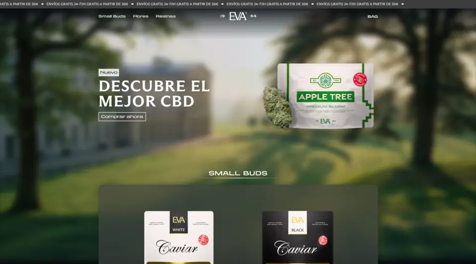 EVA 1964 ecommerce homepage.